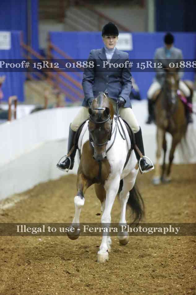 Proof 15R12_01888