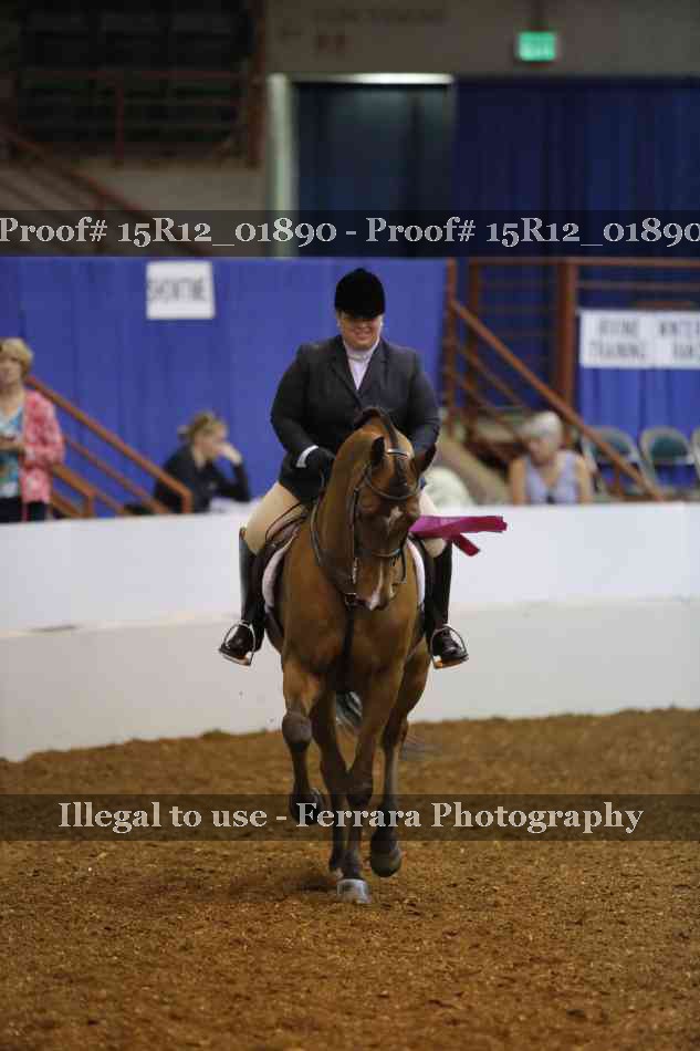 Proof 15R12_01890