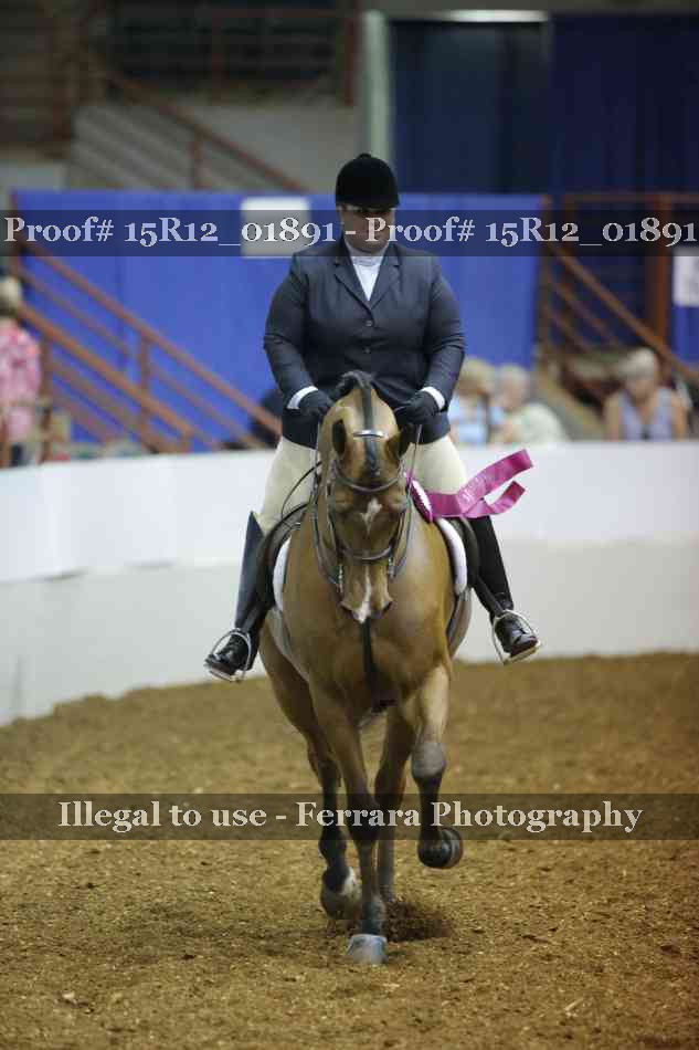 Proof 15R12_01891