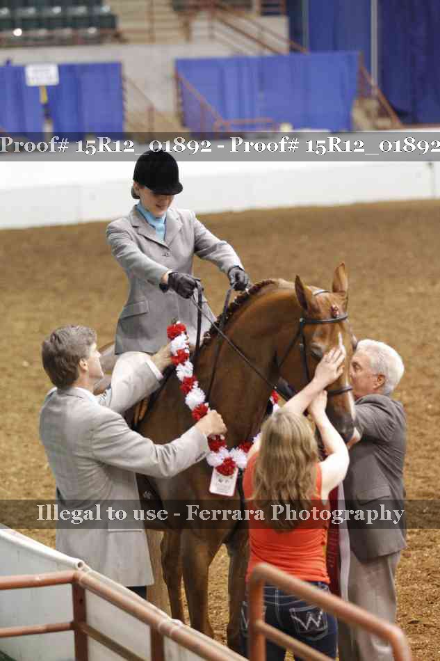 Proof 15R12_01892