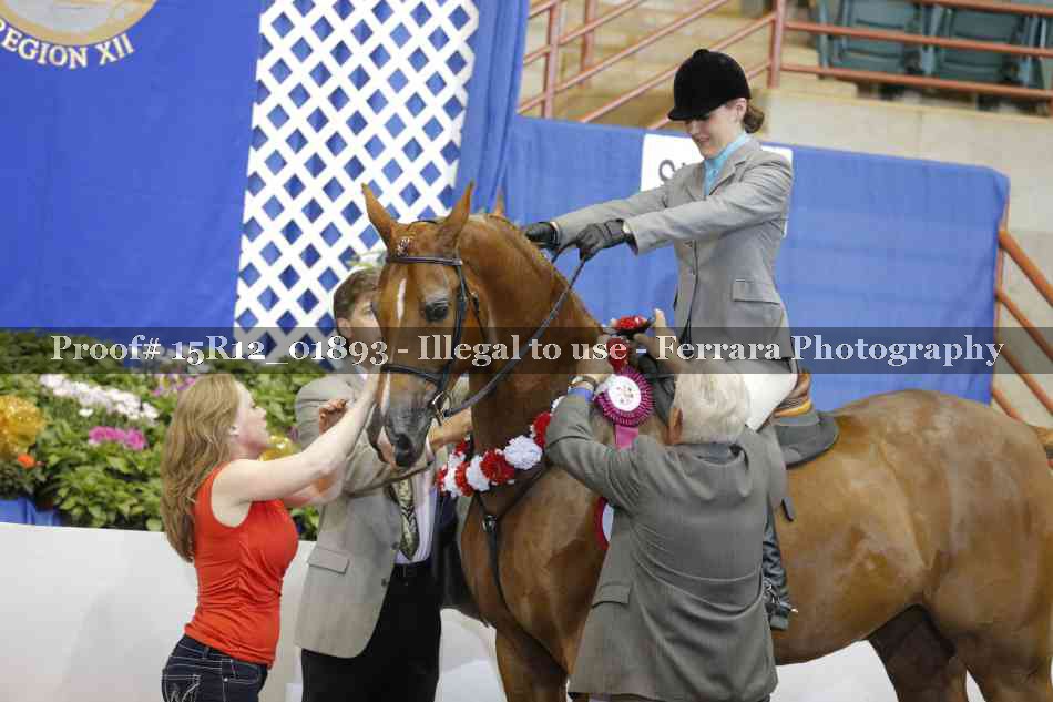 Proof 15R12_01893