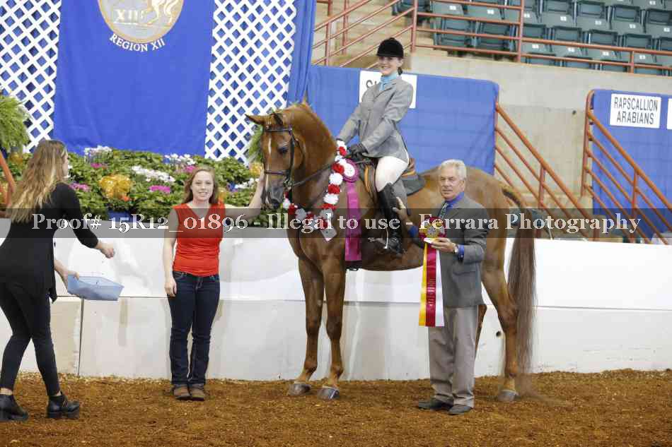 Proof 15R12_01896