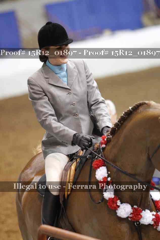 Proof 15R12_01897