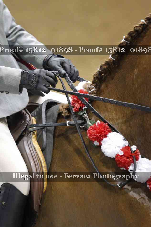 Proof 15R12_01898