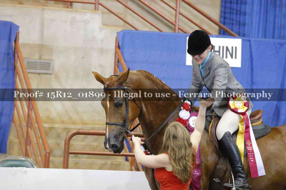 Proof 15R12_01899