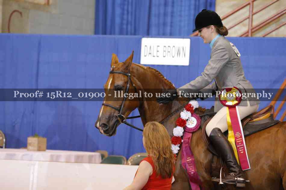 Proof 15R12_01900