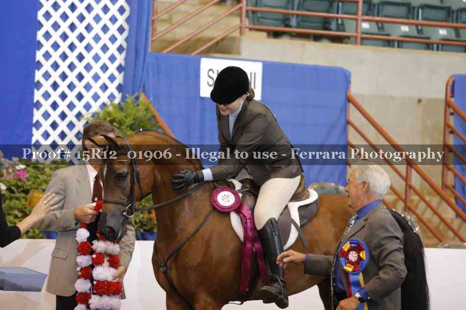 Proof 15R12_01906