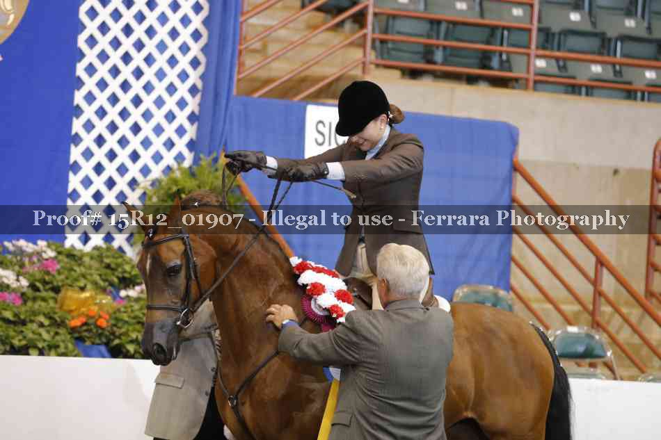 Proof 15R12_01907