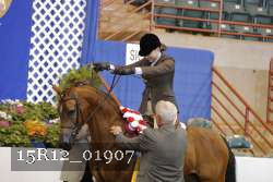 15R12_01907 proof
