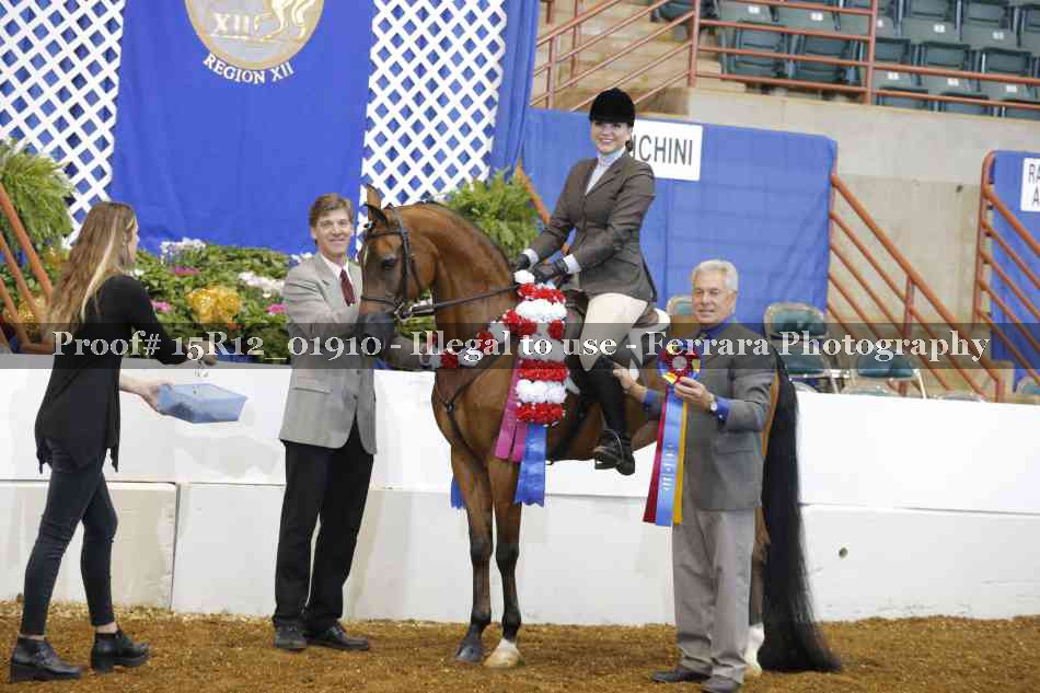 Proof 15R12_01910