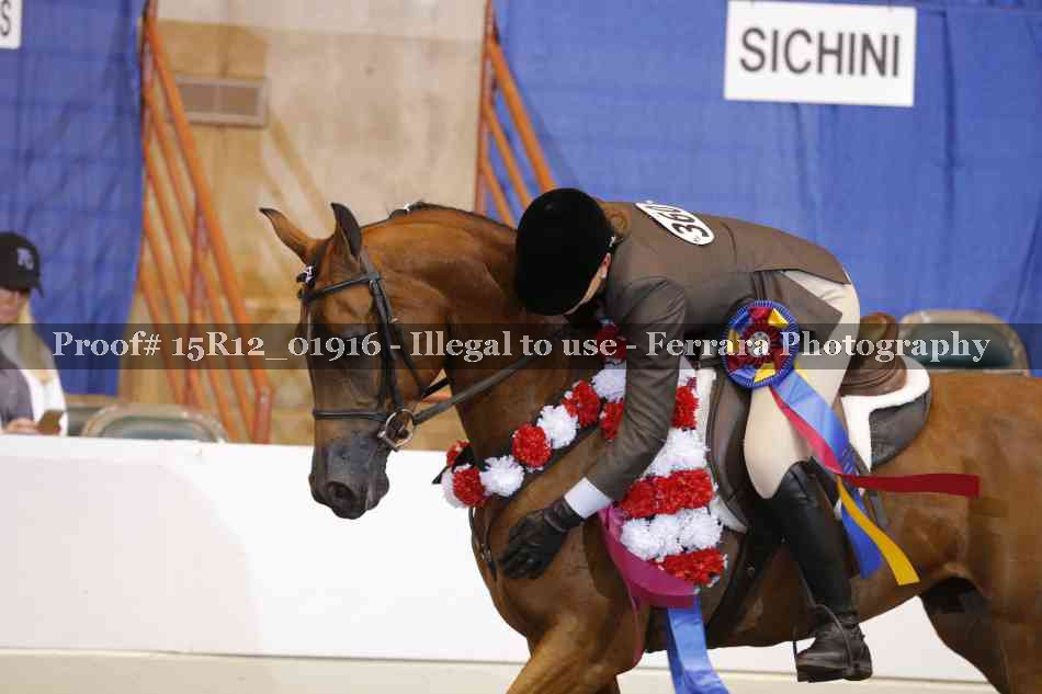Proof 15R12_01916