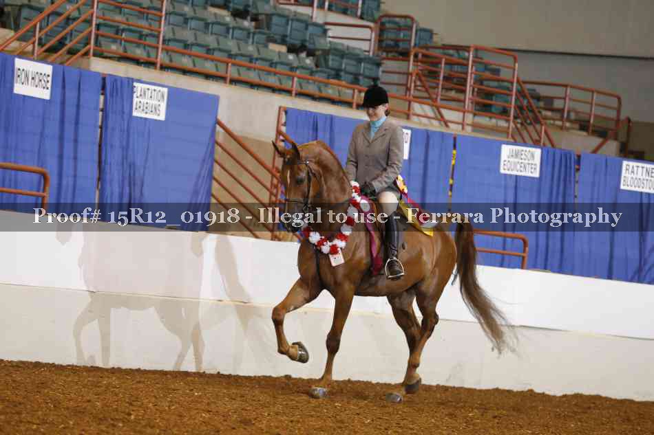 Proof 15R12_01918
