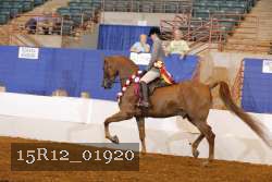 15R12_01920 proof