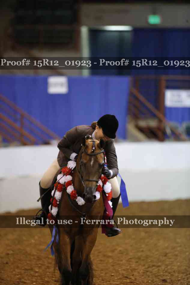Proof 15R12_01923
