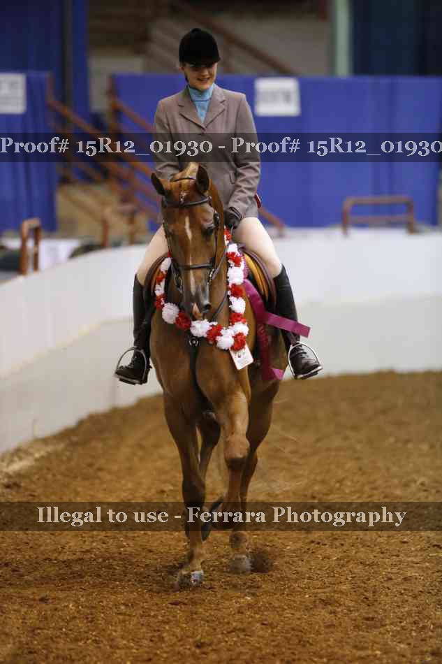 Proof 15R12_01930