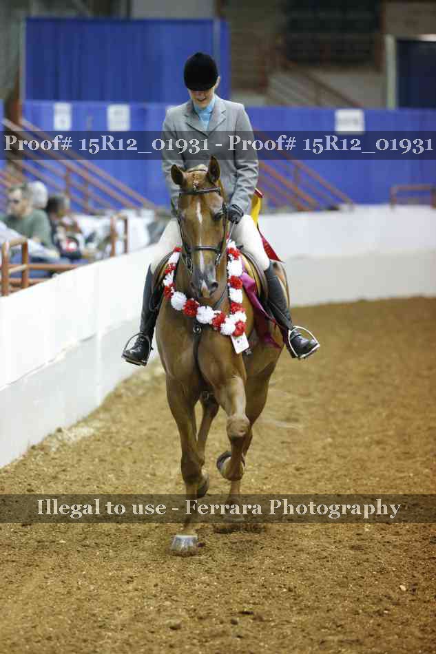 Proof 15R12_01931