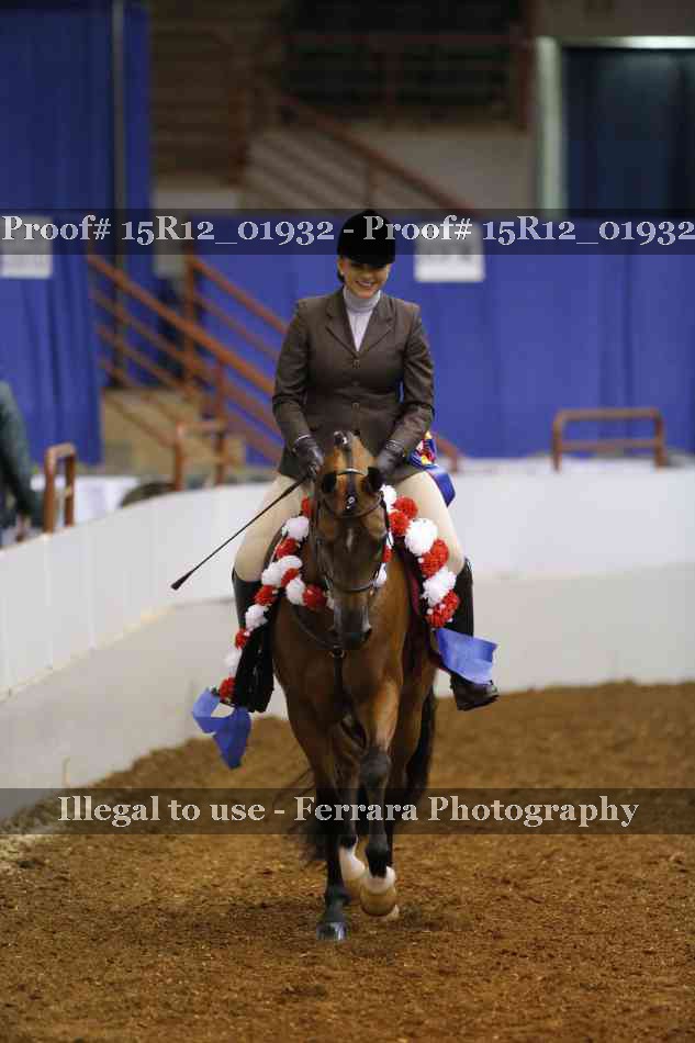 Proof 15R12_01932