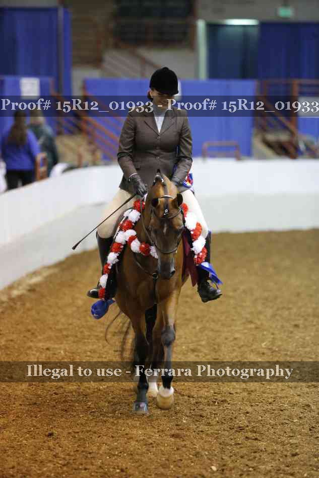 Proof 15R12_01933