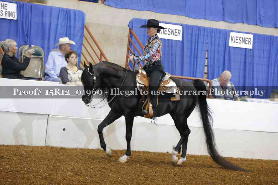 Proof 15R12_01960