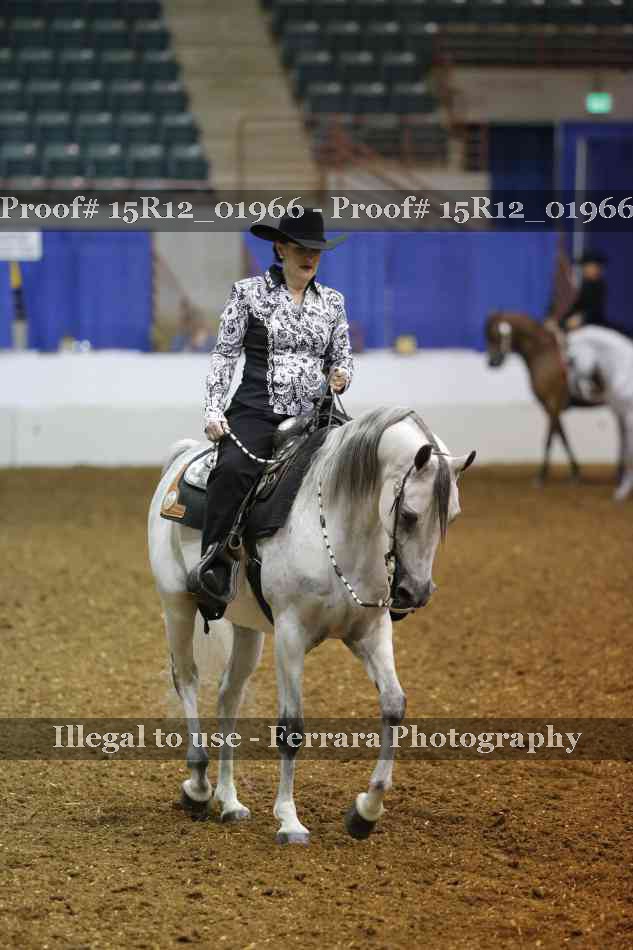 Proof 15R12_01966