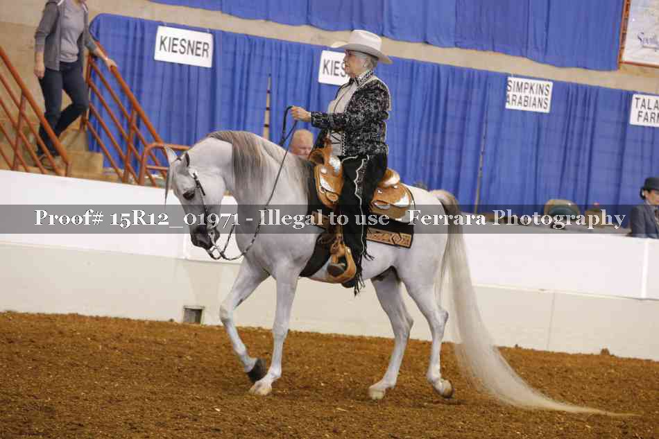 Proof 15R12_01971