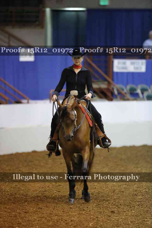 Proof 15R12_01972