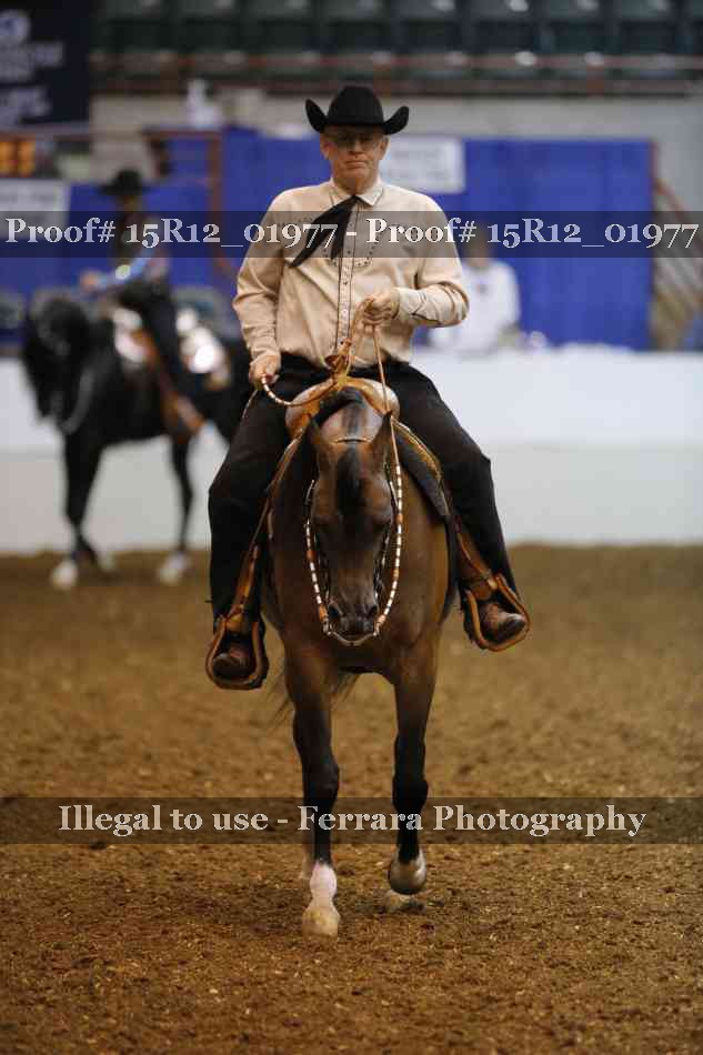 Proof 15R12_01977