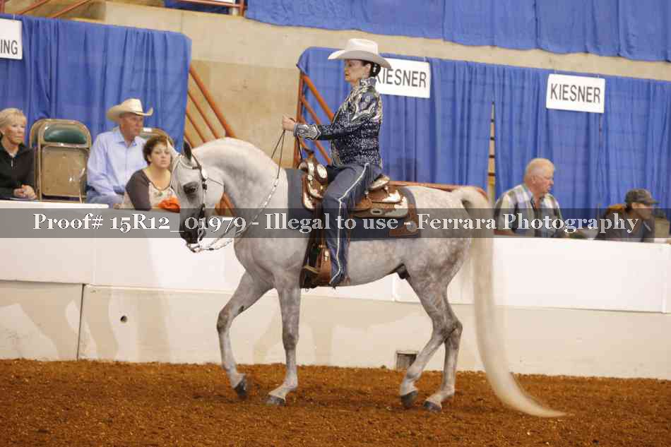 Proof 15R12_01979
