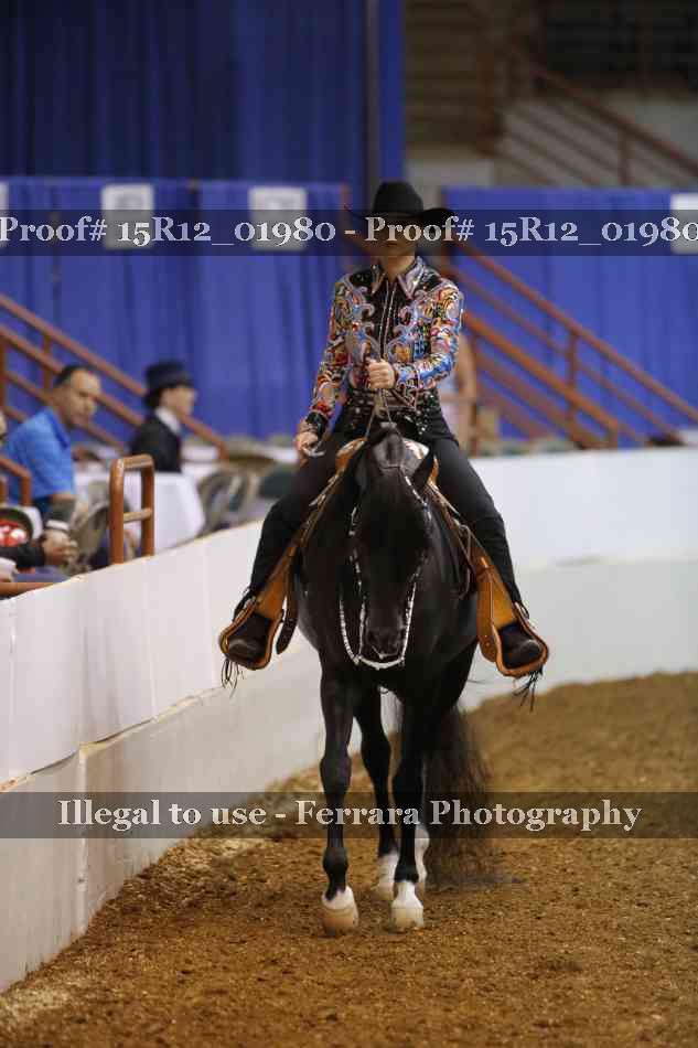 Proof 15R12_01980