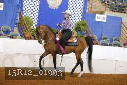 15R12_01993 proof