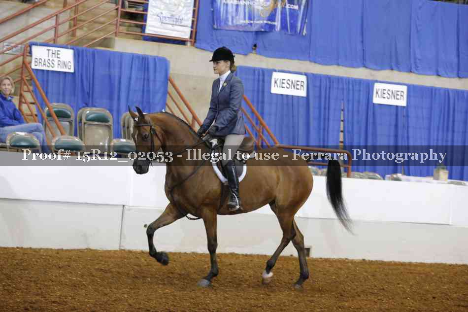 Proof 15R12_02053