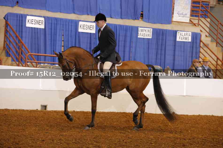 Proof 15R12_02054