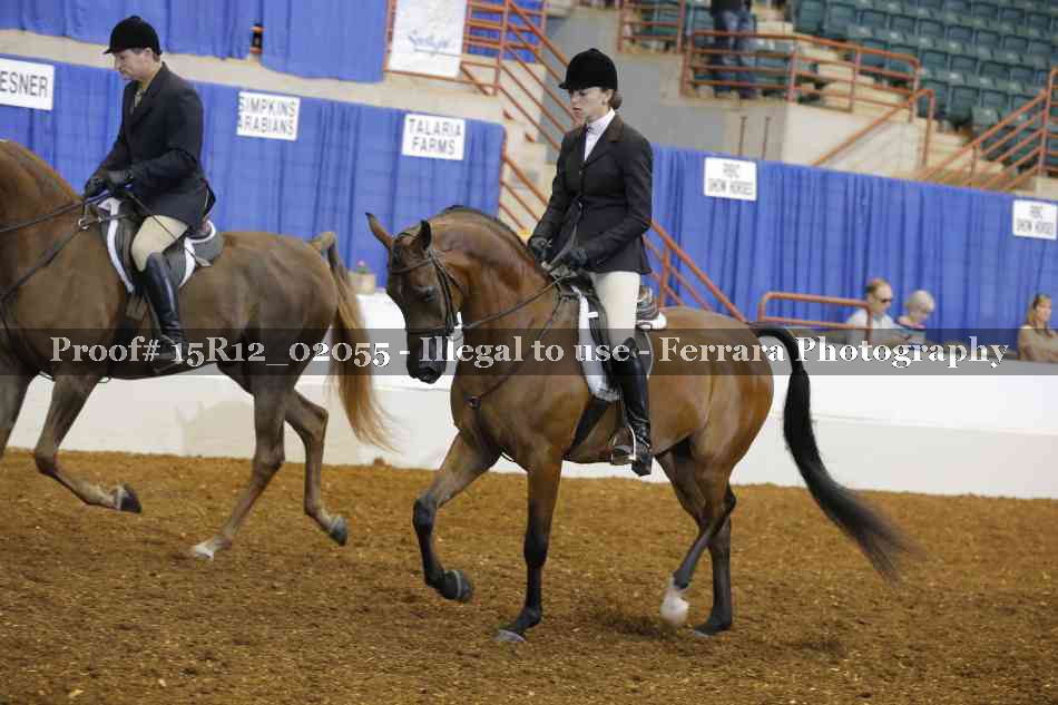 Proof 15R12_02055