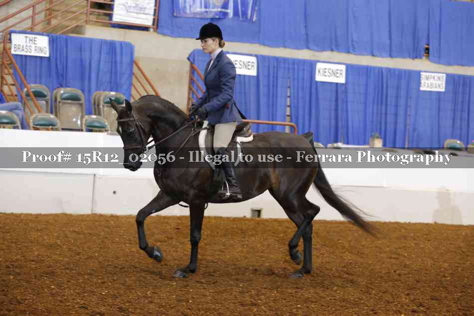 Proof 15R12_02056