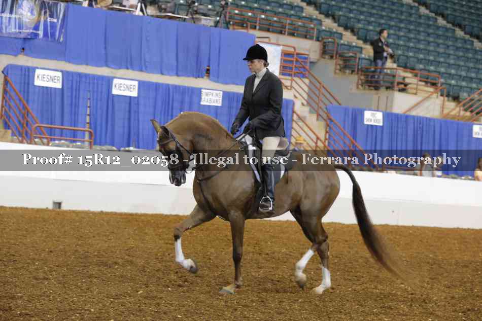 Proof 15R12_02058