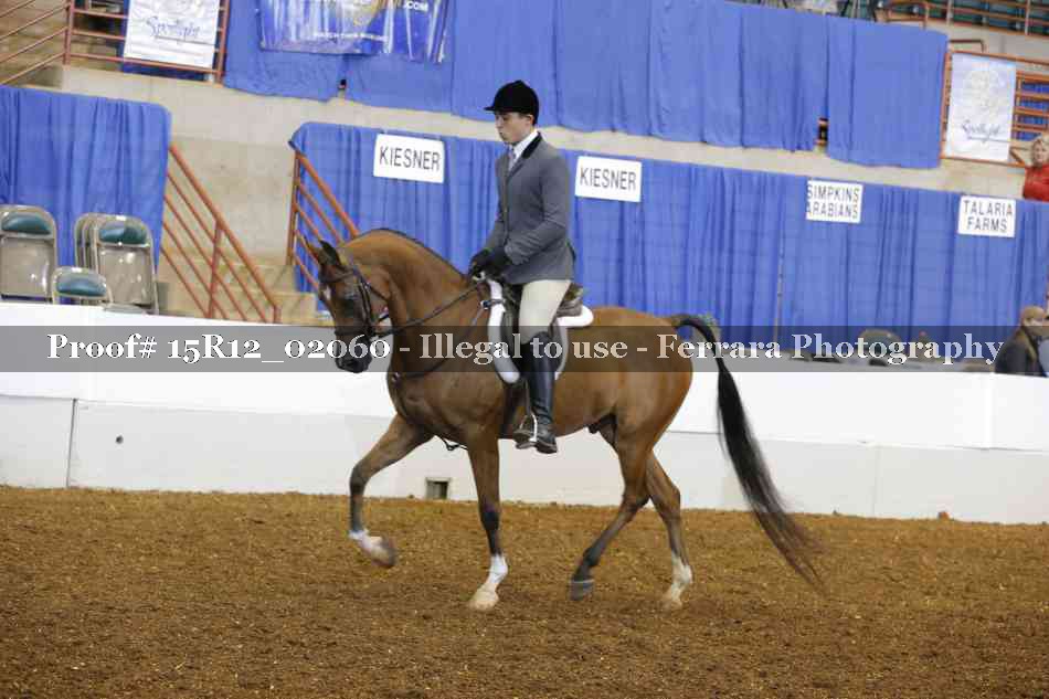 Proof 15R12_02060
