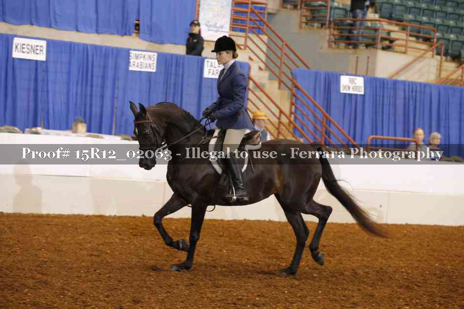 Proof 15R12_02063