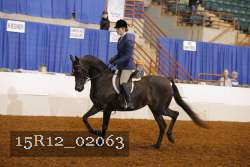 15R12_02063 proof