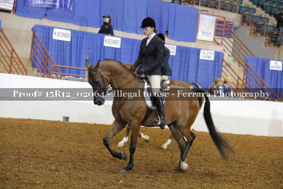 Proof 15R12_02064