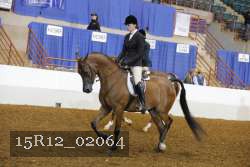 15R12_02064 proof
