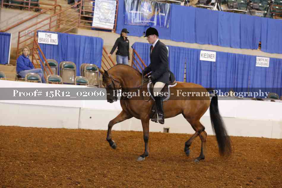 Proof 15R12_02066