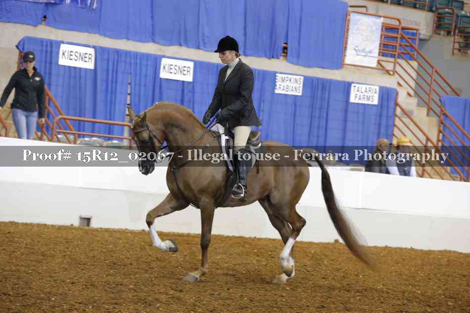 Proof 15R12_02067