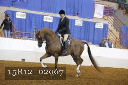 15R12_02067 proof