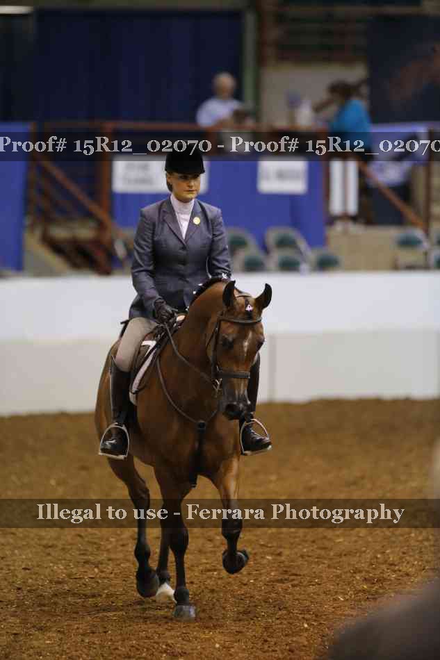 Proof 15R12_02070
