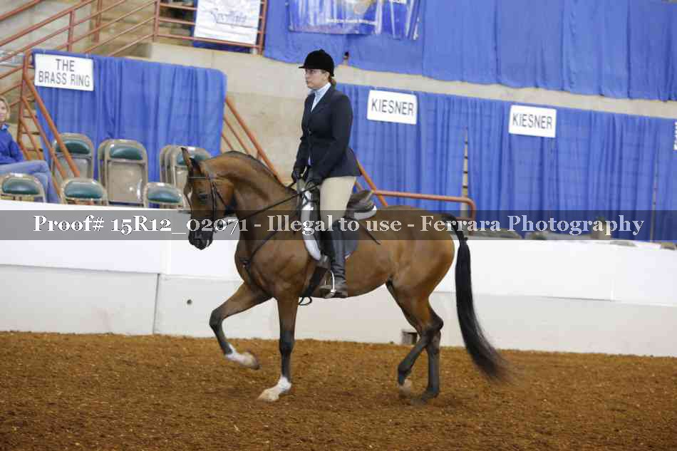 Proof 15R12_02071