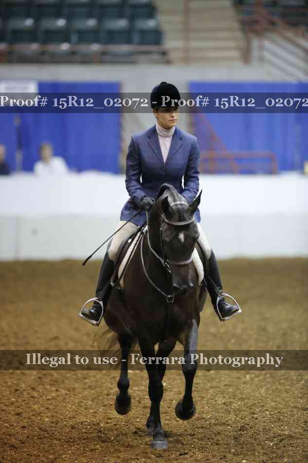 Proof 15R12_02072
