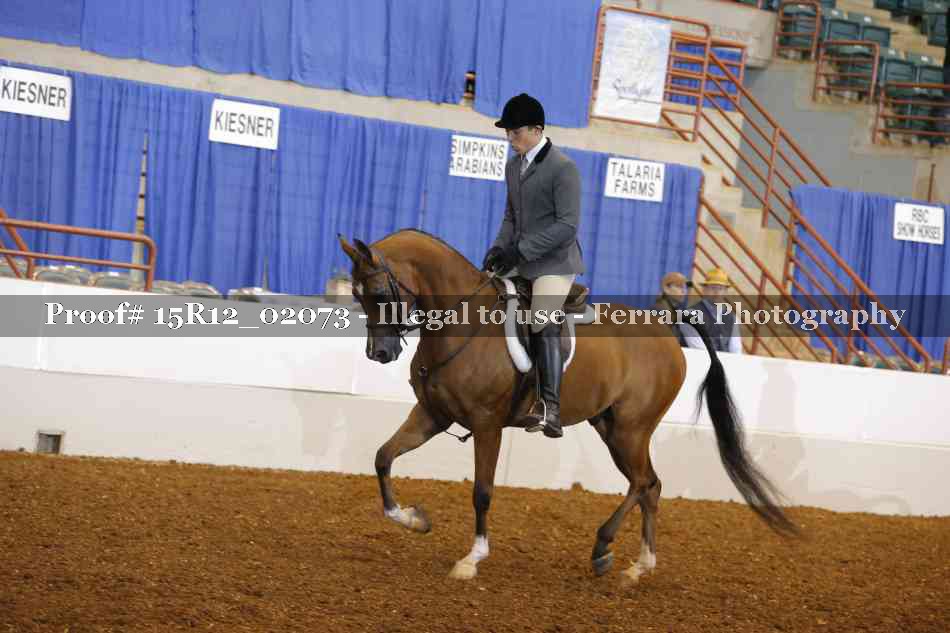 Proof 15R12_02073