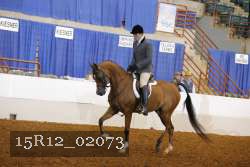 15R12_02073 proof