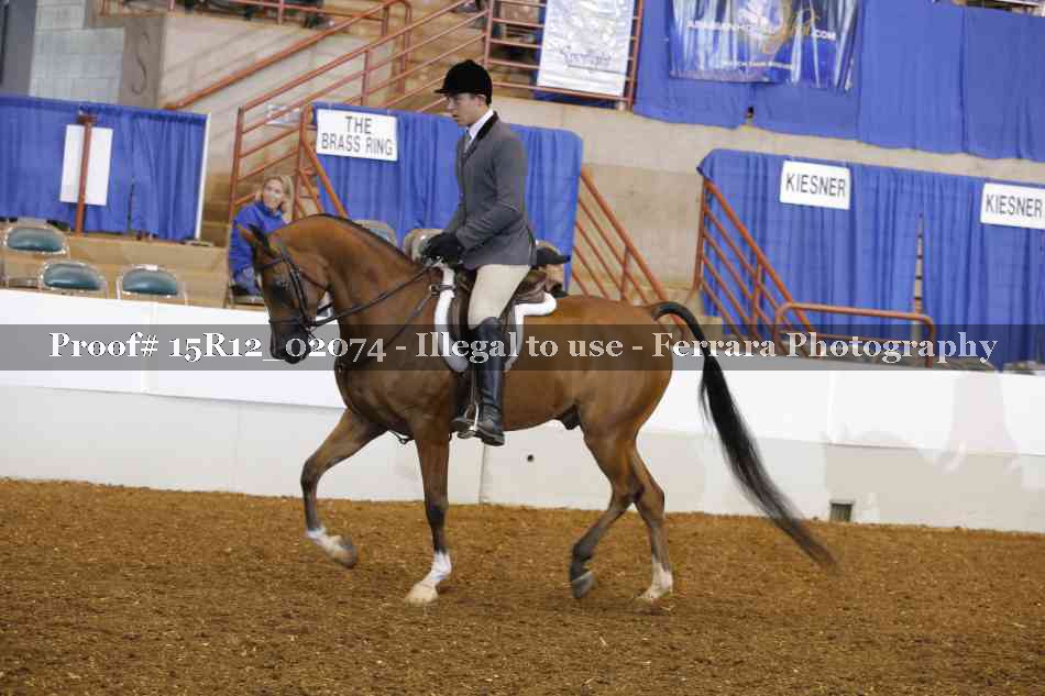 Proof 15R12_02074