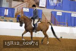 15R12_02074 proof